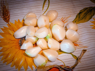 ph F. Dalmasso ph F. Dalmasso