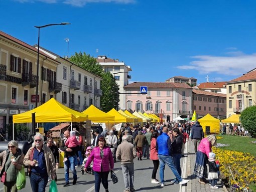 Giornata della Terra a Rivoli: l'iniziativa dedicata ai prodotti locali e alla salvaguardia dell’ambiente Giornata della Terra a Rivoli: l'iniziativa dedicata ai prodotti locali e alla salvaguardia dell’ambiente