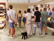 Weekend tra padiglioni e lezioni di tango alla Grande Fiera d'Estate di Savigliano Weekend tra padiglioni e lezioni di tango alla Grande Fiera d'Estate di Savigliano