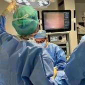 Rete oncologica Piemonte, nasce gruppo di lavoro trasversale. Pd: "Creare hub per i diversi tumori" Rete oncologica Piemonte, nasce gruppo di lavoro trasversale. Pd: "Creare hub per i diversi tumori"