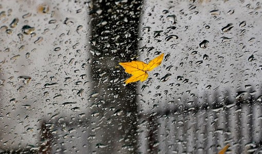 Torna il maltempo, nella serata di oggi. Poi migliora