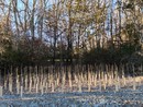 Immagine di repertorio Immagine di repertorio