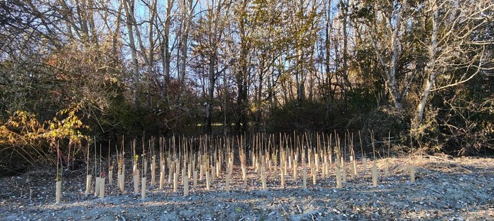 Immagine di repertorio Immagine di repertorio