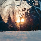 Samuel James - tramite Unsplash