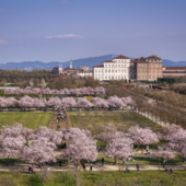 Foto di Michele d'Ottavio Foto di Michele d'Ottavio