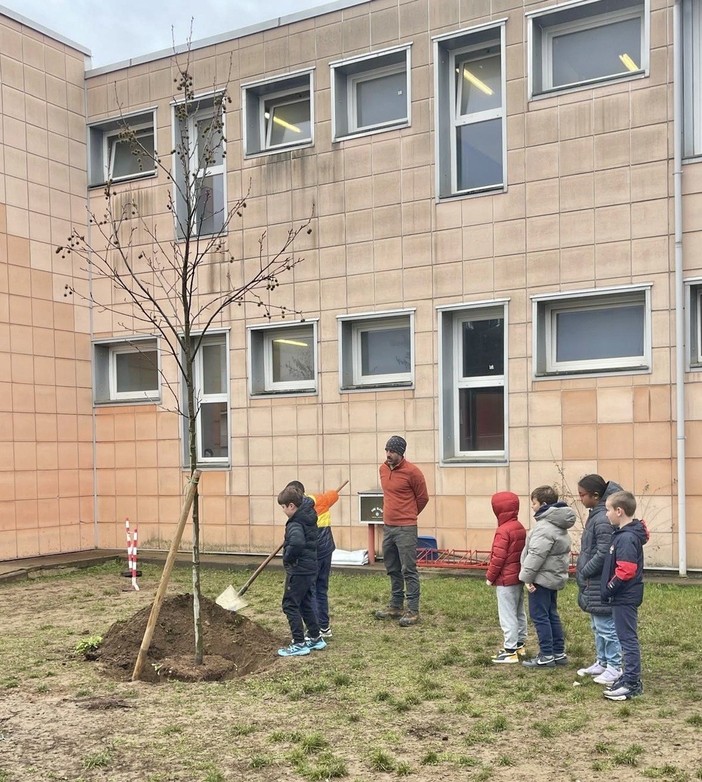 Un nuovo albero per la scuola primaria Anna Frank di Druento Un nuovo albero per la scuola primaria Anna Frank di Druento