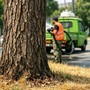 Collegno: irrigazioni straordinarie per proteggere il patrimonio verde Collegno: irrigazioni straordinarie per proteggere il patrimonio verde