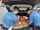 Venaria Reale, dipendenti di un pastificio sottraevano confezioni di Grana Padano per rivenderlo: denunciati