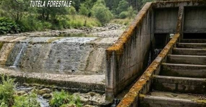 Siccità, a Venaria Reale sanzionata azienda per mancato rilascio dell'acqua nel torrente Ceronda Siccità, a Venaria Reale sanzionata azienda per mancato rilascio dell'acqua nel torrente Ceronda
