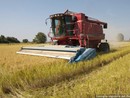 Piano per la qualità dell'aria: "In assenza di modifiche a rischio il settore agricolo" Piano per la qualità dell'aria: "In assenza di modifiche a rischio il settore agricolo"