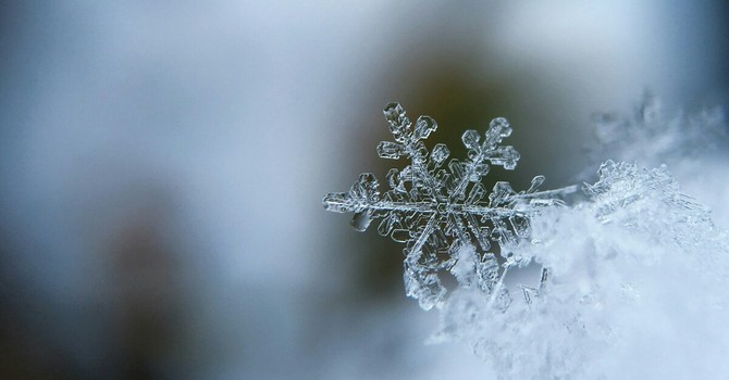 Foto di Aaron Burden - tramite Unsplash