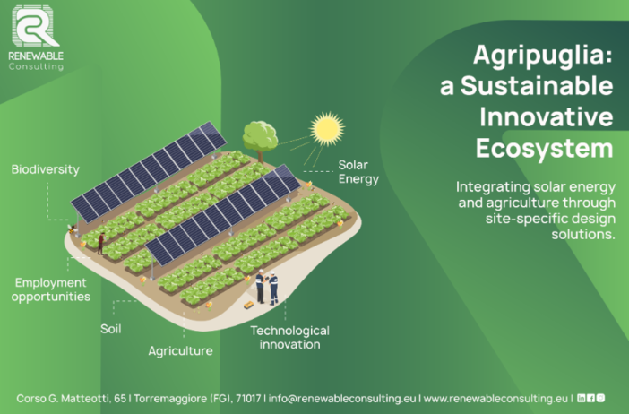 Renewable Consulting, realtà pioniera della transizione energetica, al fianco di IDA Summit 2026