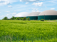 Biogas: si apre una nuova filiera tecnologica per il ritiro dell'energia dai produttori
