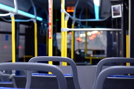 bus bus