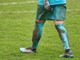 Follia su un campo di calcio di Venaria, nei giorni scorsi