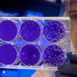 foto di repertorio