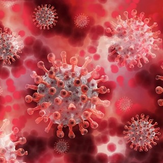 Coronavirus in Piemonte: mai così tanti morti nella seconda ondata. Ma continuano a calare i ricoveri