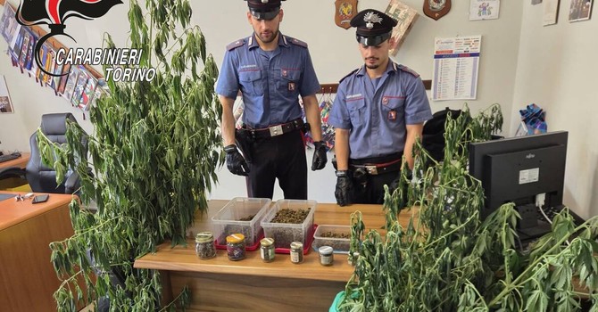 Sono in tutto cinque le persone arrestate dai carabinieri per droga Sono in tutto cinque le persone arrestate dai carabinieri per droga