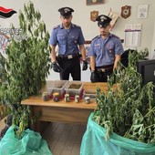 Sono in tutto cinque le persone arrestate dai carabinieri per droga Sono in tutto cinque le persone arrestate dai carabinieri per droga