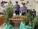 Sono in tutto cinque le persone arrestate dai carabinieri per droga
