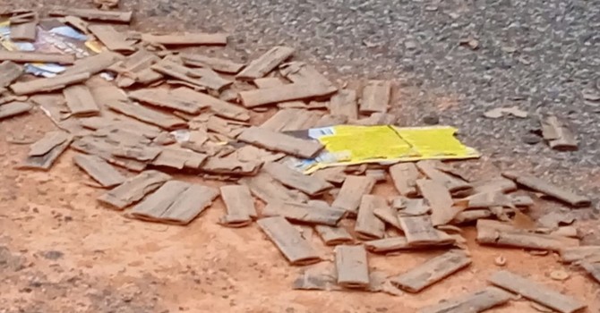 Immagine di repertorio