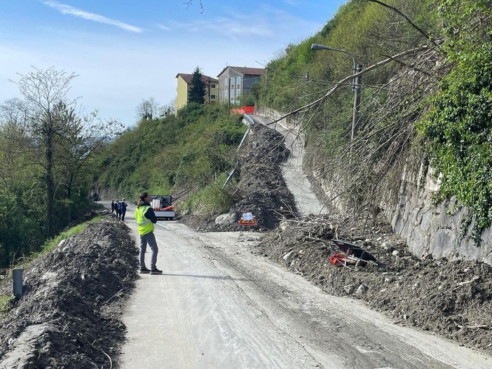 Boschi, fiumi e sentieri: il Piemonte vara il piano forestale da 312 operai per prevenire frane e alluvioni Boschi, fiumi e sentieri: il Piemonte vara il piano forestale da 312 operai per prevenire frane e alluvioni
