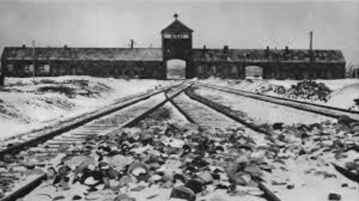 Grugliasco, Promemoria Auschwitz: al via le iscrizioni Grugliasco, Promemoria Auschwitz: al via le iscrizioni