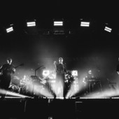 I cani in concerto al Flowers Festival di Collegno I cani in concerto al Flowers Festival di Collegno