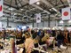 La cultura giapponese torna in scena alla Fiera di Cremona