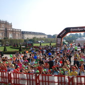 Sciame di calabroni imperversa a La Mandria durante la maratona
