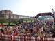 Sciame di calabroni imperversa a La Mandria durante la maratona