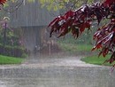Primavera fa rima con maltempo: in Piemonte quasi il 40% dei giorni accompagnati dalla pioggia