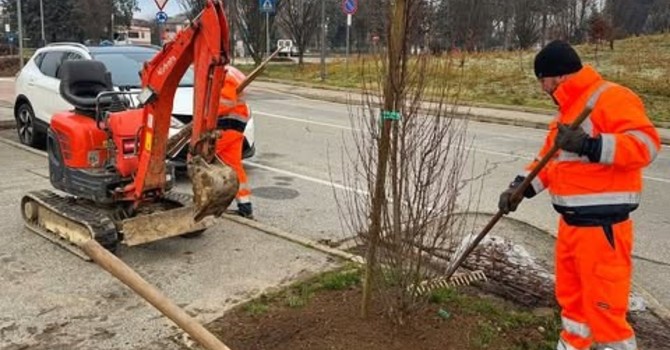 Immagine d'archivio Immagine d'archivio