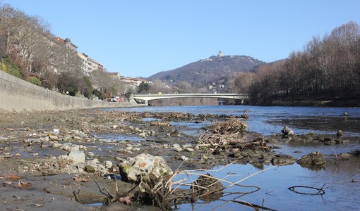 Siccità, il Piemonte avvia le procedure per le richieste dello stato di calamità Siccità, il Piemonte avvia le procedure per le richieste dello stato di calamità