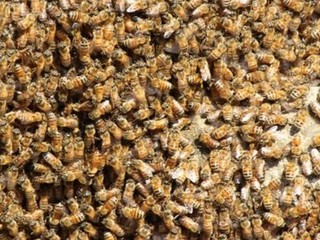 Foto generica d'archivio Foto generica d'archivio