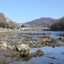Siccità, il Piemonte avvia le procedure per le richieste dello stato di calamità