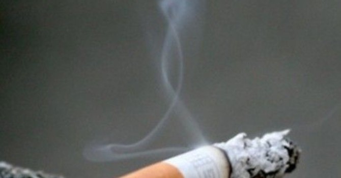 Maxi-blitz della Finanza e Carabinieri, smantellata rete che produceva e contrabbandava sigarette: sequestrati 140 mln Maxi-blitz della Finanza e Carabinieri, smantellata rete che produceva e contrabbandava sigarette: sequestrati 140 mln