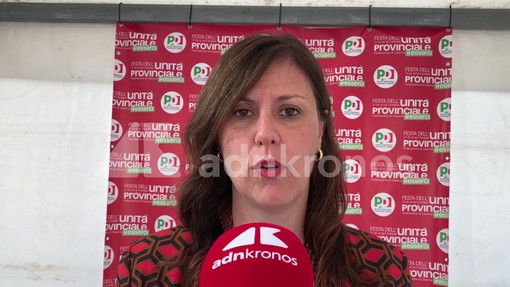 Centrosinistra, Braga (Pd): "Primarie? Non saranno laceranti, Schlein in campo"