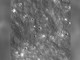 Razzo Space X precipita sulla Luna: le immagini del nuovo cratere creato dall'impatto
