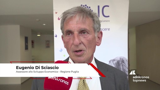 Di Sciascio (Ass. Regione Puglia): "I dati sono cruciali per decisioni consapevoli, fondamentale il contributo di InfoCamere " Di Sciascio (Ass. Regione Puglia): "I dati sono cruciali per decisioni consapevoli, fondamentale il contributo di InfoCamere "