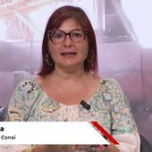 Sostenibilità, Fontana (Conai): "In un anno 10 mln di tonnellate riciclate, indotto per 3,8 mld"