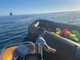 Buca il gommone dei migranti nel canale della Manica, il video del suprematista britannico Danny Tommo Buca il gommone dei migranti nel canale della Manica, il video del suprematista britannico Danny Tommo