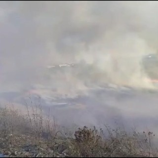 Incendio a Brindisi, a fuoco vasta area sterpaglie e canneto in zona industriale Incendio a Brindisi, a fuoco vasta area sterpaglie e canneto in zona industriale