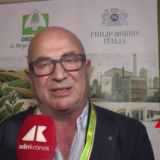 Trippella (Philip Morris), 'ogni anno acquisti in tabacco per 100 mln in Italia' Trippella (Philip Morris), 'ogni anno acquisti in tabacco per 100 mln in Italia'