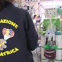 Bimbi e rischio caldo, il medico: "Al Pronto soccorso del Bambino Gesù uno su quattro per le alte temperature"