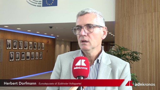 Antiparassitari: Dorfmann (Svp), "Sono prodotti da regolamentare, anche se l'argomento è dibattuto" Antiparassitari: Dorfmann (Svp), "Sono prodotti da regolamentare, anche se l'argomento è dibattuto"