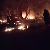 Manduria, vasto incendio distrugge 22 auto e colpisce un immobile Manduria, vasto incendio distrugge 22 auto e colpisce un immobile