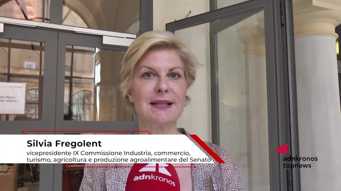 Economia: Fregolent (IV), 'migliorare burocrazia, energia, giustizia e trasporti per attrarre investimenti' Economia: Fregolent (IV), 'migliorare burocrazia, energia, giustizia e trasporti per attrarre investimenti'