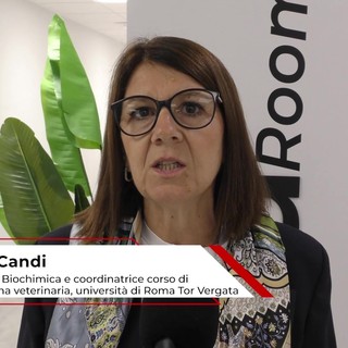 Università: Candi (Roma Tor Vergata), 'futuri veterinari avvantaggiati da formazione pratica'