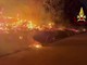 Napoli, incendio nel Parco archeologico di Longola